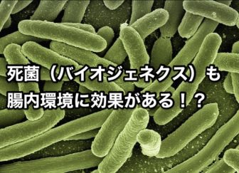 死菌（バイオジェネクス）も 腸内環境に効果がある！？