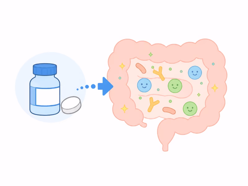 強ミヤリサンの宮入菌が腸内環境に関わる様子を表したイラスト