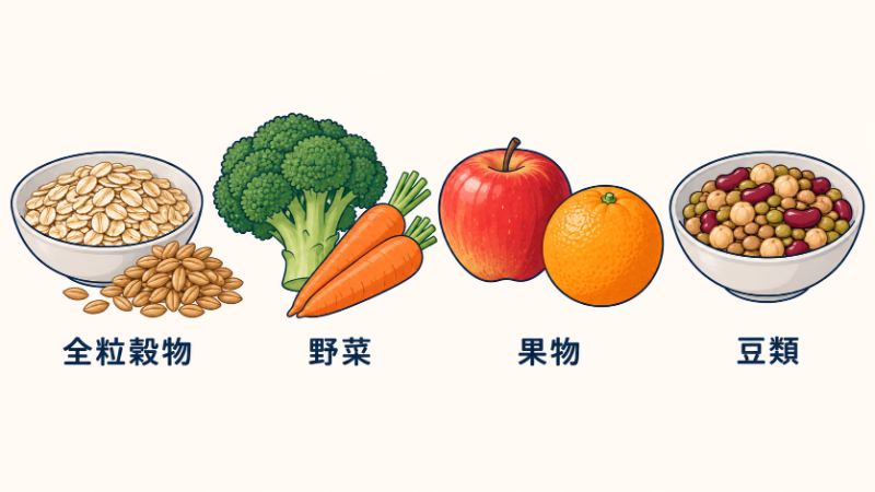 全粒穀物、野菜、果物、豆類の4群を横に配置。穀物の粒、ブロッコリーとニンジン、リンゴとオレンジ、豆の器をそれぞれの名称で示す。