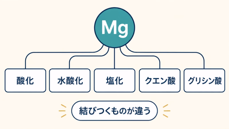 Mgから酸化、水酸化、塩化、クエン酸、グリシン酸の五つへ線が分かれる図。同じマグネシウムでも、結びつくものが違うことを示す。